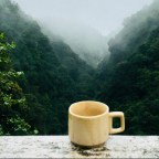 Rituals and Routines