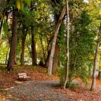 Washington Park, Portland OR