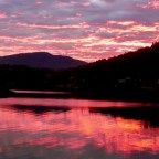 The Red In My Painting