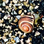 I’ve Had a Change of Heart