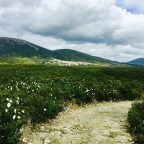 On the Road to Caceres