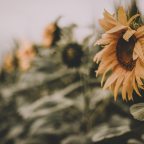 A Moment of Kindness