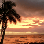 In the Fullness of Time