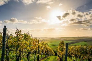 agriculture-clouds-countryside-1277181