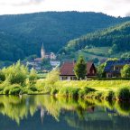 Life in the Black Forest