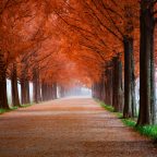 For Everything There is a Season