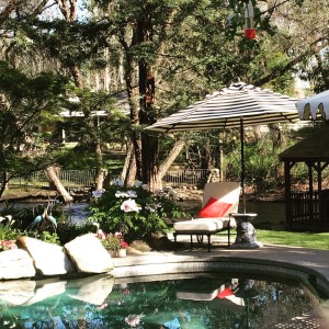 F7C3406C-F0F6-4E67-8868-61483F1537CE