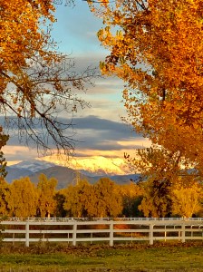 329B8A72-1431-4A7D-8EE7-A6CF8CF52CCC