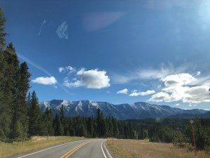 2uJWUH+kTCSbDb4ka8GxcQ