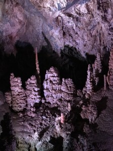 2VQJJYcLQZKGCbbkNJwwvg