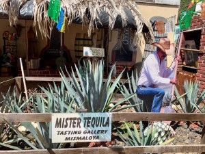 Sabbatical 2020 Puerto Villarta