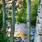 The River of No Return