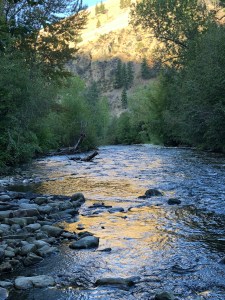 xjj2GWXNSU6sJkbXRklaLw