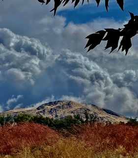 520E3EF5-9CBD-40D4-85CE-60E2697B832A_1_201_a