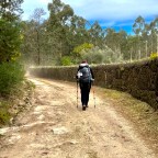 The Rhythm of the Road