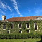 The Predictably-Unpredictable