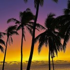 Summertime, and the Living is Easy