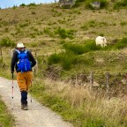 A Funny Thing Happened on the Way to Finieyrols