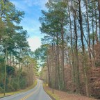 Sweet Home Alabama- Where the Skies are Blue