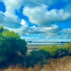 Another Adventure Awaits