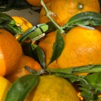 Sailing Through Time: A Journey Across the Heart of Europe