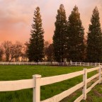 Home Again: A Moment of Reflection